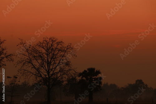 Beautiful light   silhouette and blue sky in the morning