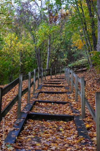 wooden bridge in autumn forest