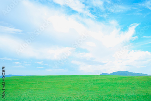 Empty green grass field with blue sky and white clouds sunny weather in spring summer.