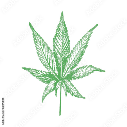 Marijuana leaf. Vector vintage hatching monochrome illustration. Isolated on white