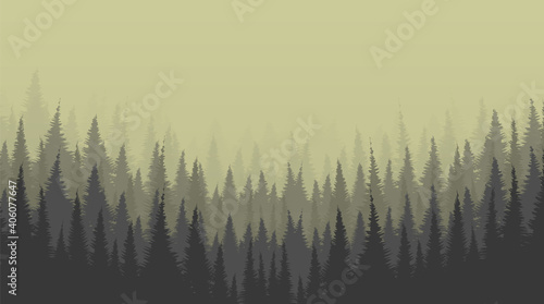 Foggy Pine Forest background,Lonely Scene concept design,free space for text in put,vector