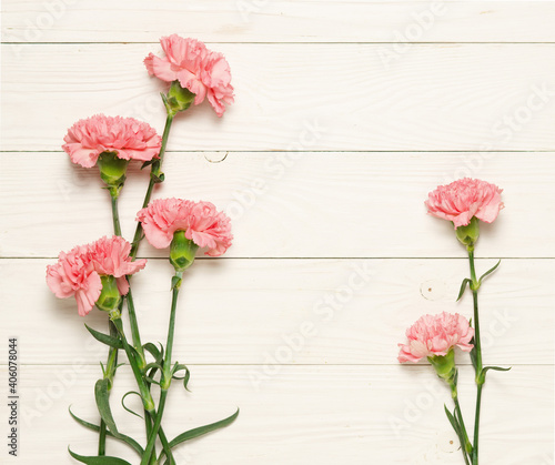 Pink carnation flowers on on white rustic wood.