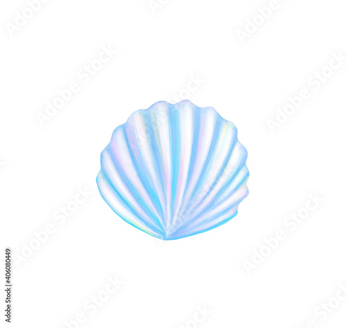 Seashell pearl mother of pearl isolated on a white background. Rainbow shell. Digital illustration
