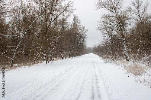 Snowy road in the forest. Winter landscape. © IhorStore