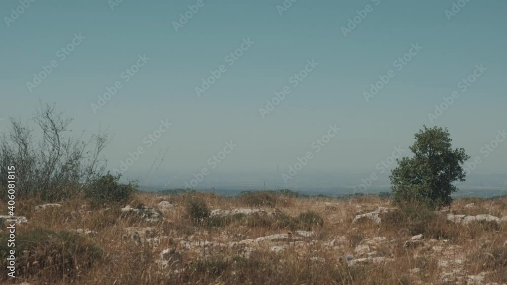 Landscape in the mountain on a summer day with vegetation and trees and rocks with bright blue sky in Catalonia, Spain Landscape in the mountain on a summer day with vegetation and trees and rocks with bright blue sky in Catalonia, Spain