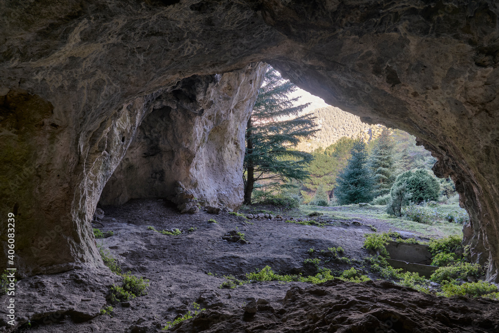 Water cave in the Pinsapos Forest (Abies Pinsapo) in the Yunquera pinsapar of the Sierra de las Nieves national park in Malaga. Spain
