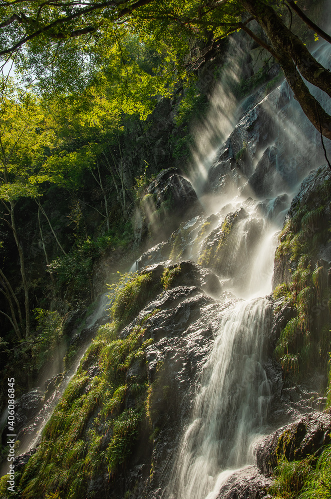 Obraz premium 兵庫県・陽射しを返し龍のように
