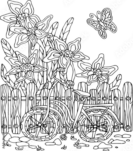 Antistress coloring book black and white vector hand-drawn picture bicycle with flowers and a wooden fence, with a butterfly.  Vector image for greeting cards, posters, stickers, design.