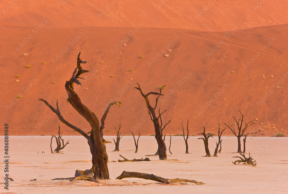 Valle Muerte Sossus Vlei Desierto Namib Namibia Africa Valle Muerte Sossus Vlei Desierto Namib Namibia Africa