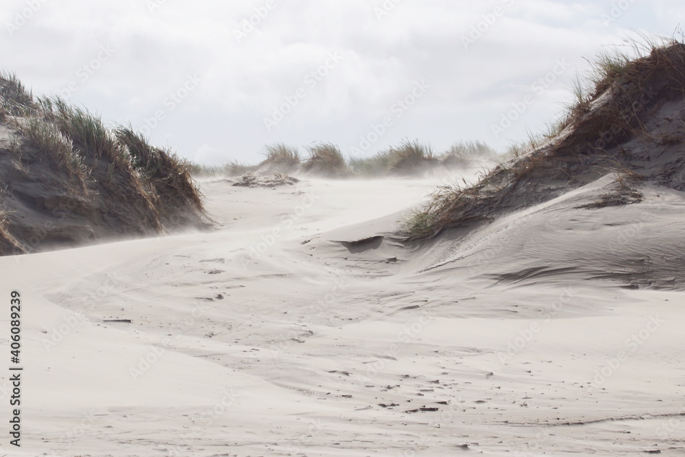 Lonely North sea dune on a cloudy day