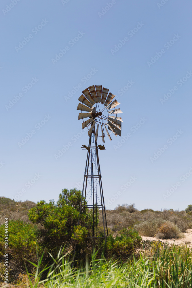 Windpump on farm between plants and trees