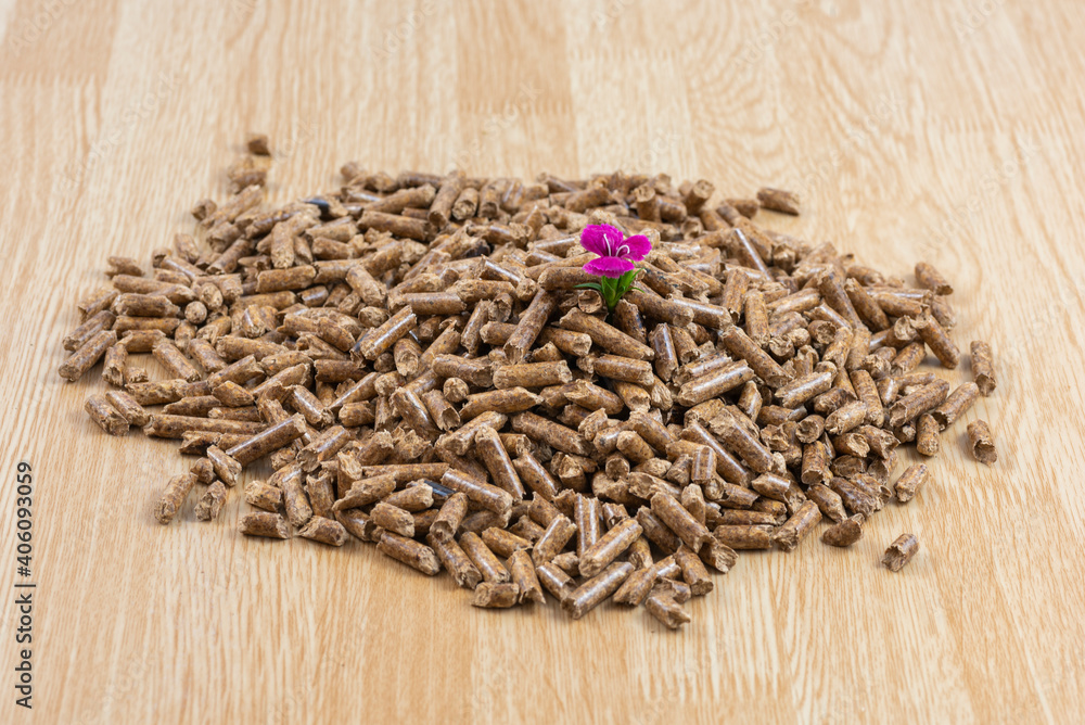 Pellets de madera (combustible para estufas de biomasa).