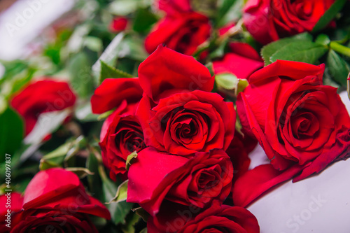 Large scattered bouquet of red roses on a white background.