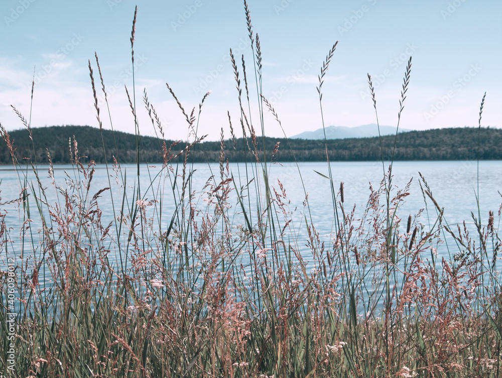 Fototapeta premium Nordic lake landscape with reeds, mountains and forest. Water rings on lake surface. North Ural Mountains, Russia. Calm, beautiful nature
