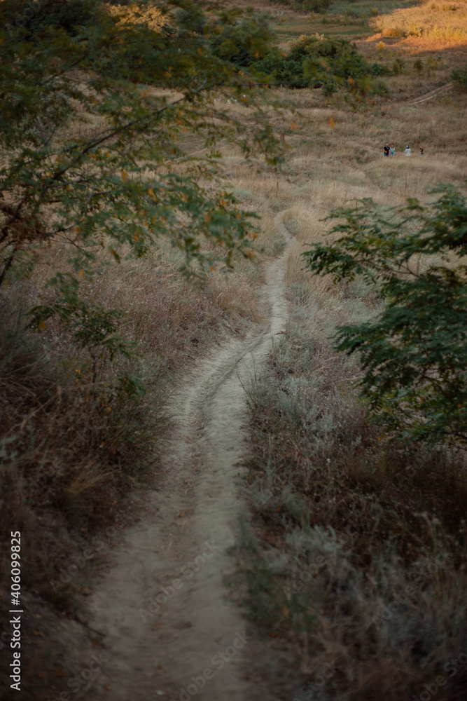 road to the valley road to the valley