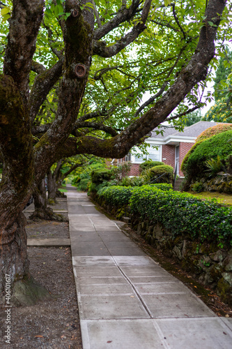 path in the park