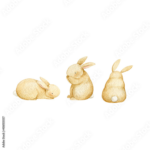 watercolor cute little rabbits 