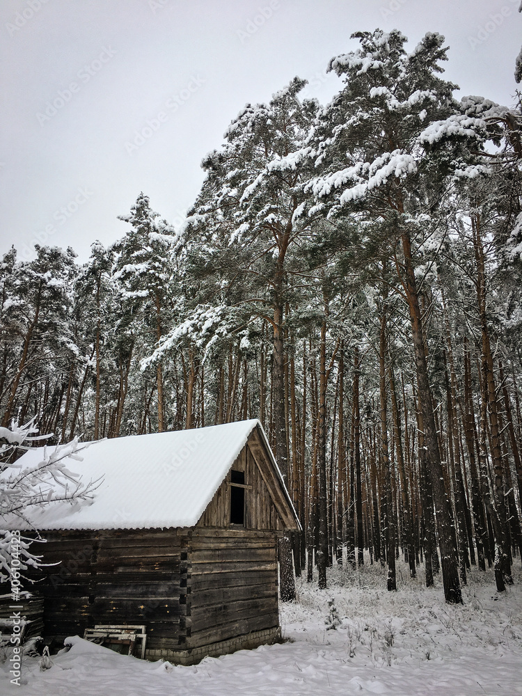Small house in the woods pine winter forest