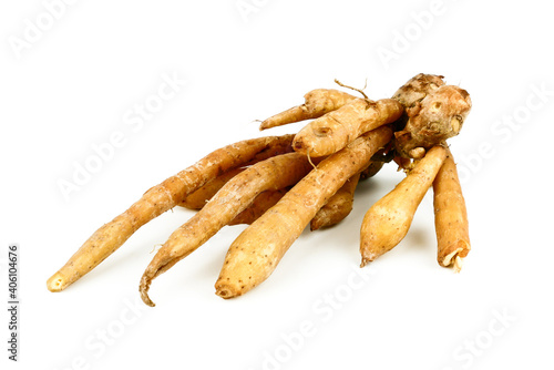 Boesenbergia rotunda, Finger root, Chinese ginger ingredient for cooking Thai cuisine isolated on white background. Herb plant is nutrition for protecting cancer.