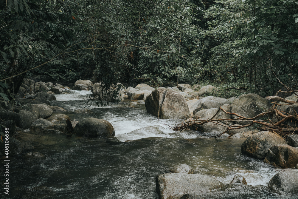 Amazing view of the rain forest stream or waterfall in Asia jungle. Amazing view of the rain forest stream or waterfall in Asia jungle.