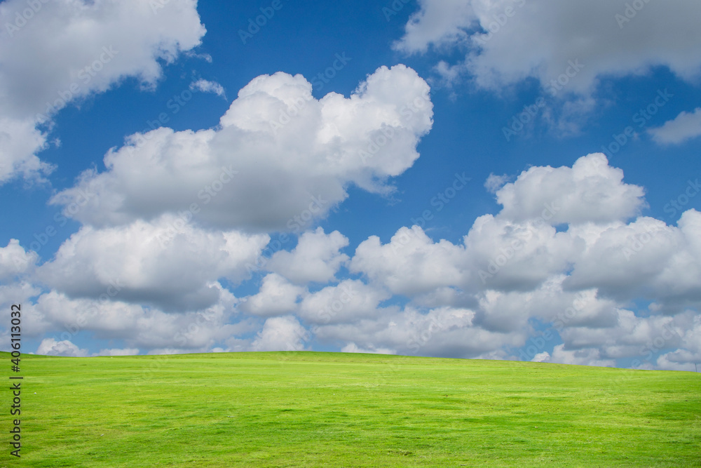 Green grass field on blue sky with cloud background. Green meadow under blue sky with clouds.