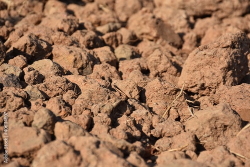 Close up a large clod of dry soil