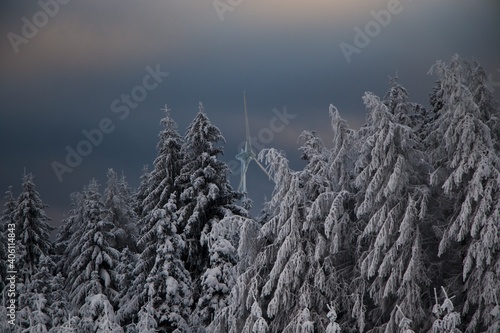 landscape with snow photo