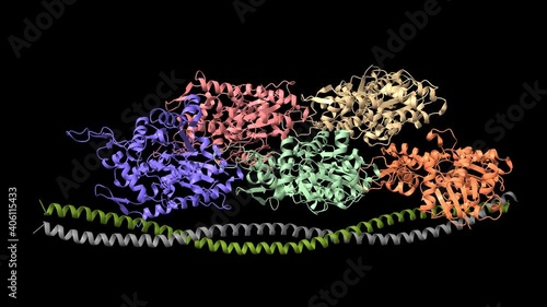 Ca2+-induced movement of tropomyosin on native cardiac thin filaments, open-closed state, animated 3D cartoon-Gaussian surface model, black background photo