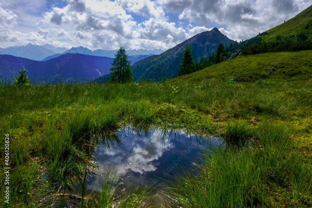 reflection in a little pond on a green meadow while hiking