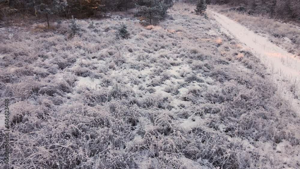 Flying over a glade with grass and shrubs covered with hoarfrost. The quadcopter explores the harmony of nature. Cold forest in winter at sunset. Sunlight effectively illuminates the snow at dusk. Flying over a glade with grass and shrubs covered with hoarfrost. The quadcopter explores the harmony of nature. Cold forest in winter at sunset. Sunlight effectively illuminates the snow at dusk.