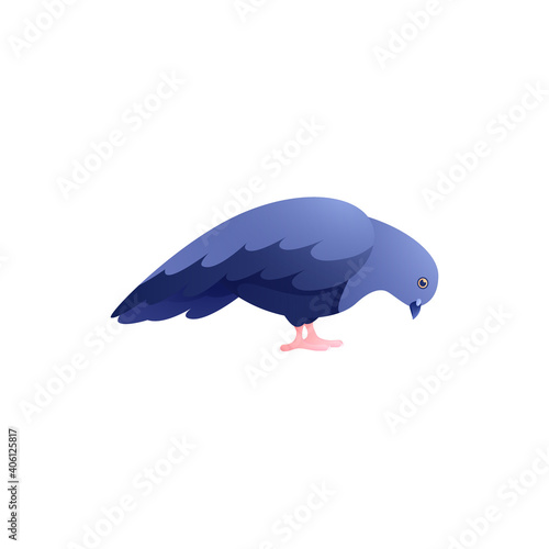 Pigeon Flat Image