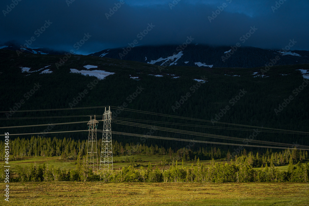 Fototapeta premium electric pole lines in nature