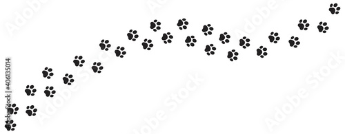 Paw print foot trail Dog on white background. cat paw print.  paw print walk line path pattern,  Vector illustration