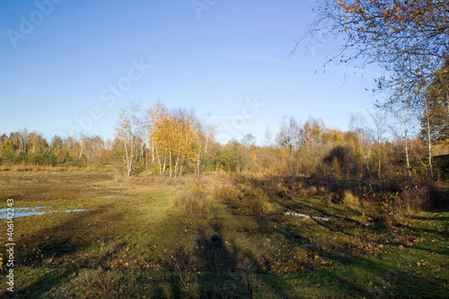 Fototapeta Naklejka Na Ścianę i Meble -  Landscape in the National Park Maasduinen in the Netherlands