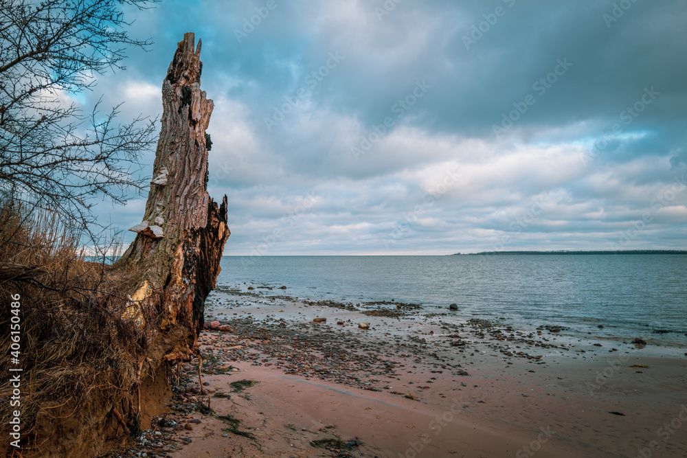 the beach of the Baltic Sea in winter with cloudy sky