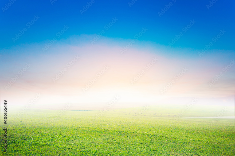Meadow landscape and outdoor sky On a blurred background Abstract style