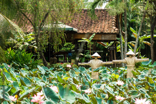 Teich mit Lotuspflanzen und Vogelscheuchen, Rastplatz Tinh Tien Giang am Mekong-Delta in Vietnam. photo