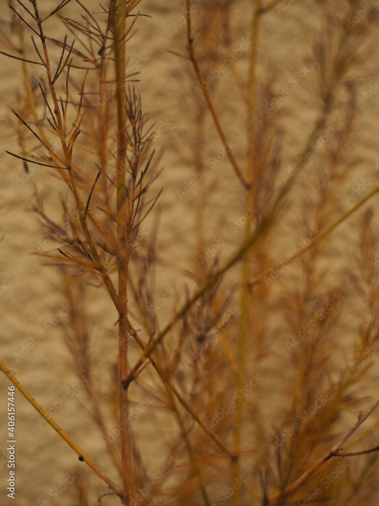 Obraz premium minimalism