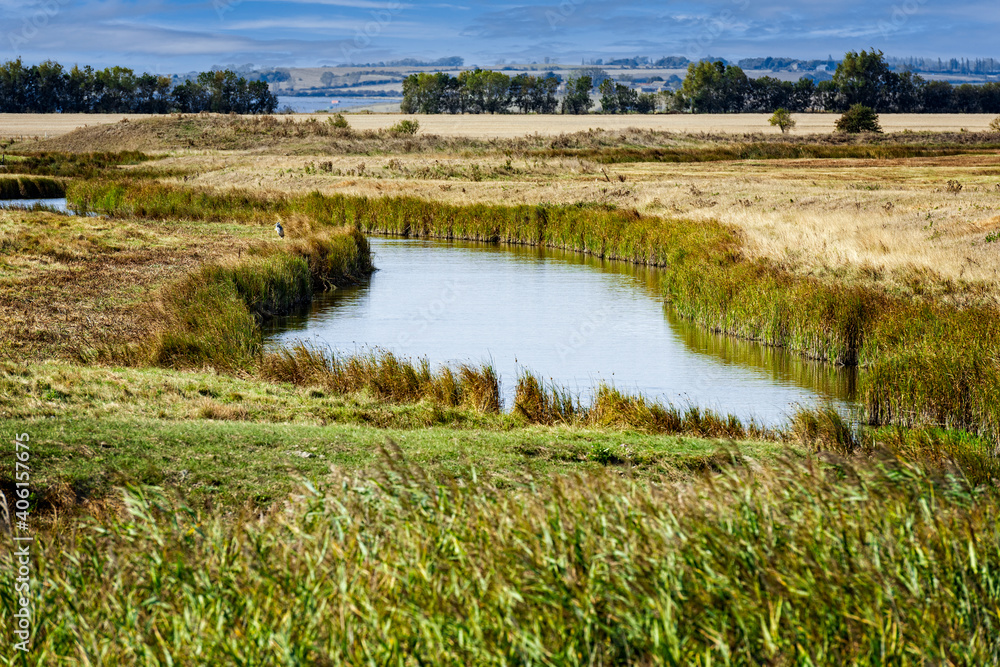 The Swale National Nature Reserve on the Isle of Sheppey in Kent, England