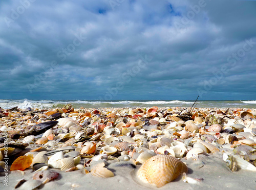Shell hash on a Gulf Coast beach under a cloudy sky.