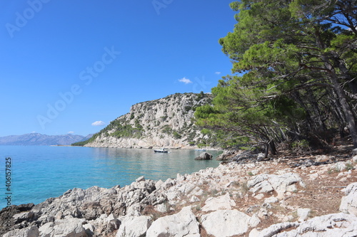 Picturesque bay on the Croatian seaside, Makarska Riviera.Pine trees on the shore on a sunny summer day against the backdrop of a bright blue sea, sky and rocky mountains on the Adriatic coast