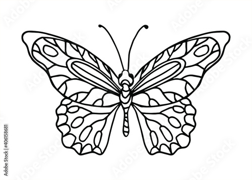 Vector hand drawn butterfly. Line art illustration for coloring book. Anti stress hobby