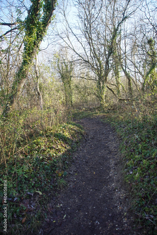 Melford Country Park, Suffolk, Sudbury, January 2021 Melford Country Park, Suffolk, Sudbury, January 2021
