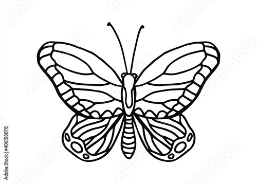 Vector hand drawn butterfly. Line art illustration for coloring book. Anti stress hobby