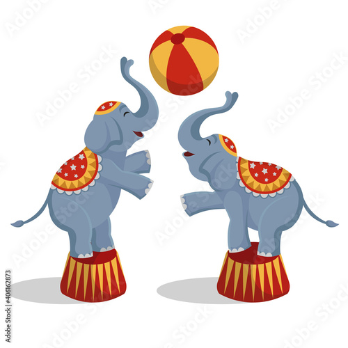 Vector illustration circus elephants playing ball.