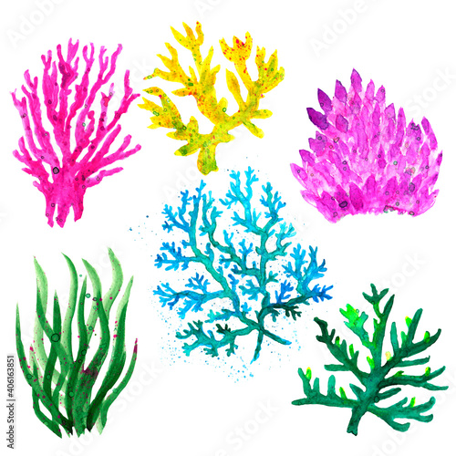 Underwater world, Watercolor elements, marine animals, Ocean inhabitants, Watercolor sea animals, fish, plants, shells