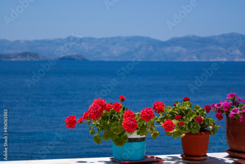 Donoussa, Greece. Detailed view. Close up of flowers on a terrace. Bright foliage with focus on the foreground. Background has the blue Aegean sea and clear skies. No people - copy space.