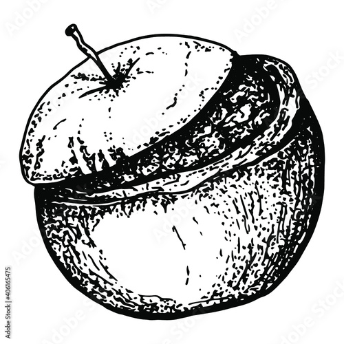 Baked apple. Black and white sketch. Isolated. On a white background.Breakfast. Dessert