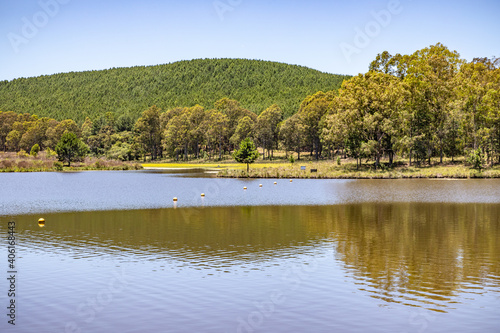 Fototapeta Naklejka Na Ścianę i Meble -  Lake and forest in Divisa dam