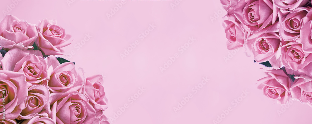 Background banner of beautiful pink roses with copy space